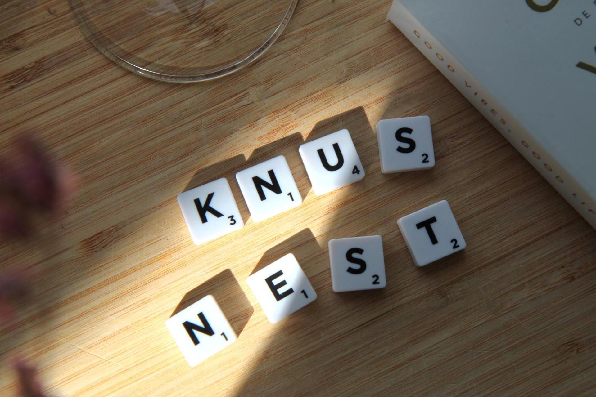 Buitenverblijf Nest Arnhem Kültér fotó